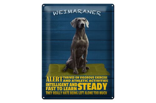 Blechschild Spruch 30x40cm Weimaraner Hund alert and steady