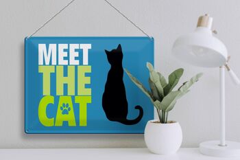 Plaque en tôle 40x30cm "Rencontrez le chat" 3