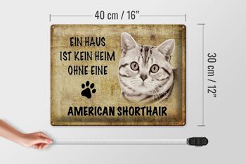 Plaque en tôle indiquant Chat American Shorthair 40x30cm 4
