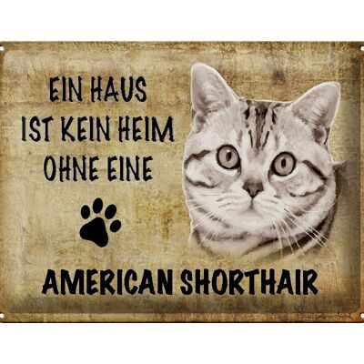 Blechschild Spruch 40x30cm American Shorthair Katze