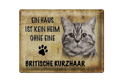 Blechschild Spruch 40x30cm Britische Kurzhaar Katze