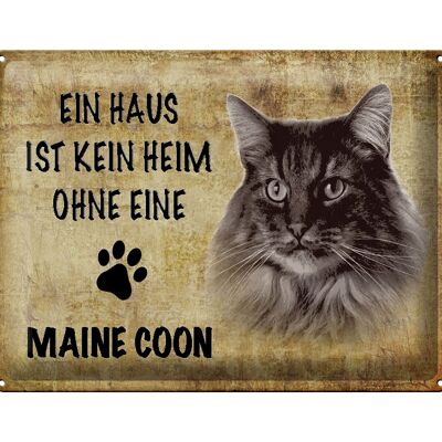 Cartel de chapa con texto "Maine Coon cat 40x30cm sin hogar"