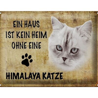 Cartel de chapa con texto "Gato del Himalaya sin hogar" 40x30 cm