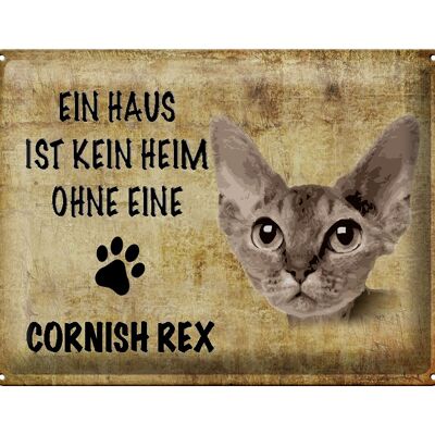 Targa in metallo con scritta 40x30 cm Cornish Rex cat