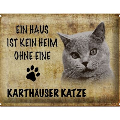 Blechschild Spruch 40x30cm Kartäuser Katze ohne kein Heim