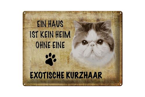 Blechschild Spruch 40x30cm exotische Kurzhaar Katze