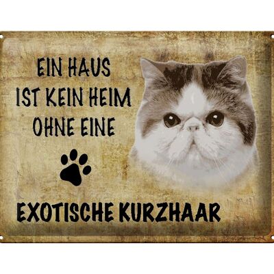 Blechschild Spruch 40x30cm exotische Kurzhaar Katze