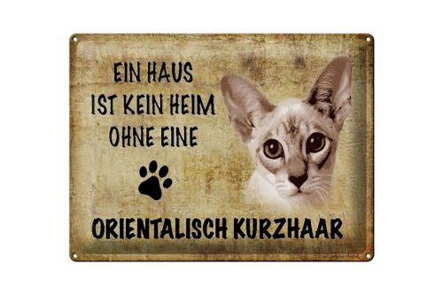 Blechschild Spruch 40x30cm orientalisch Kurzhaar Katze