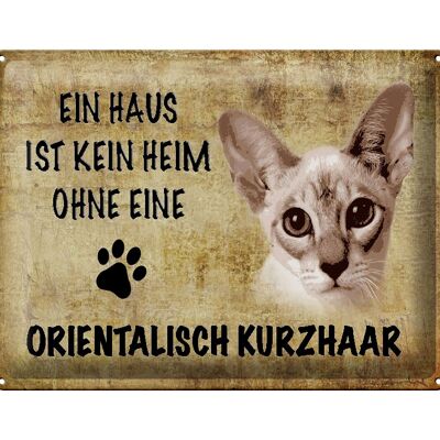 Blechschild Spruch 40x30cm orientalisch Kurzhaar Katze