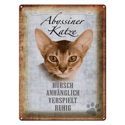 Blechschild Spruch 30x40cm Abyssiner Katze hübsch verspielt