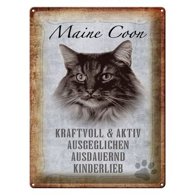 Blechschild Spruch 30x40cm Maine Coon Katze aktiv Geschenk