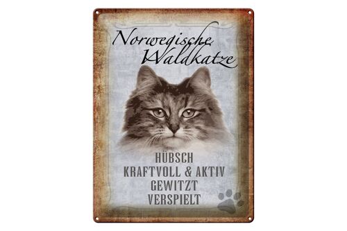 Blechschild Spruch 30x40cm norvegische Waldkatze Katze Wanddeco