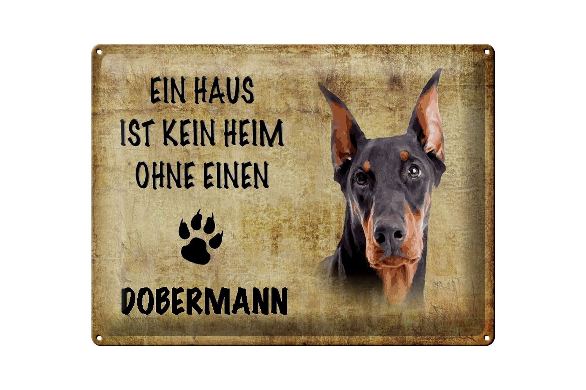 Cartel de chapa con texto "Doberman dog without no home" 40x30 cm