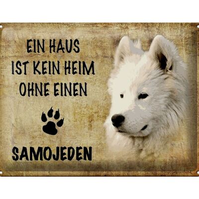 Cartel de chapa con texto "Perro samoyedo sin hogar" 40x30 cm