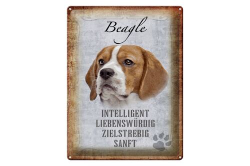 Blechschild Spruch 30x40cm Beagle Hund Geschenk