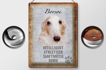Panneau en étain indiquant un cadeau athlétique pour chien Borsoi, 30x40cm 2