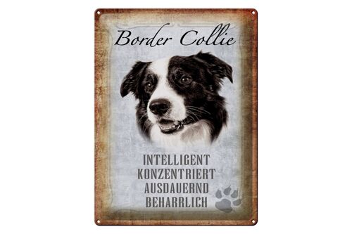 Blechschild Spruch 30x40cm Border Collie Hund Geschenk