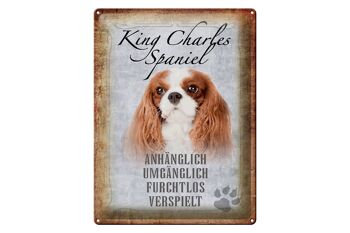 Plaque en étain disant chien King Charles Spaniel 30x40cm 1