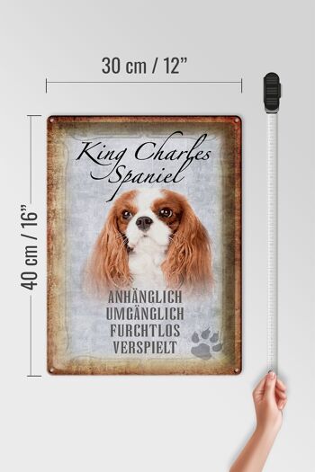 Plaque en étain disant chien King Charles Spaniel 30x40cm 4