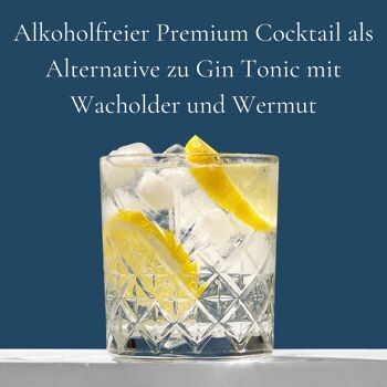 G&T Classic sans alcool - Prêt à boire 4