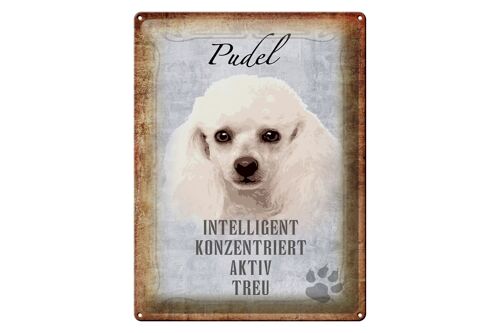 Blechschild Spruch 30x40cm Pudel Hund aktiv Geschenk