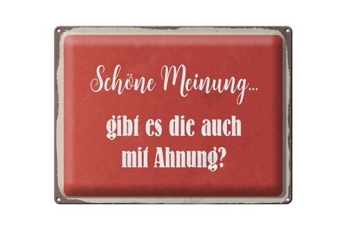 Blechschild Spruch 40x30cm schöne Meinung gibt mit Ahnung