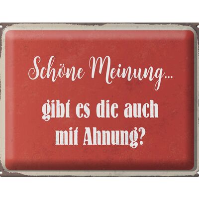 Blechschild Spruch 40x30cm schöne Meinung gibt mit Ahnung