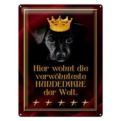 Blechschild Spruch 30x40cm hier wohnt Hundedame der Welt