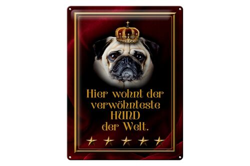 Blechschild Spruch 30x40cm hier wohnt Hund der Welt