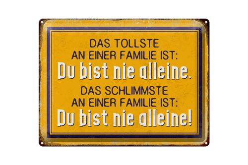 Blechschild Retro 40x30cm tollste an Familie du nie alleine