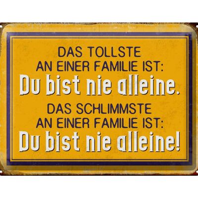 Blechschild Retro 40x30cm tollste an Familie du nie alleine