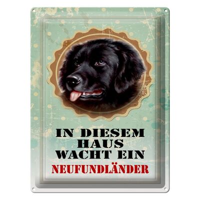 Blechschild Hund 30x40cm diesem Haus wacht Neufundländer