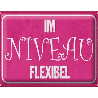 Blechschild Spruch 40x30cm Im NIVEAU flexibel Geschenk