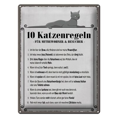 Blechschild Spruch 30x40cm 10 Katzenregeln ich bin der Boss