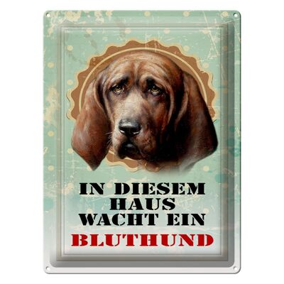 Blechschild Hund 30x40cm in diesem Haus wacht Bluthund