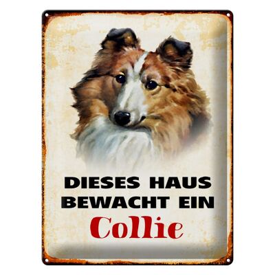 Blechschild Hund 30x40cm dieses Haus bewacht ein Collie