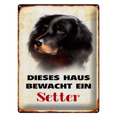 Blechschild Hund 30x40cm dieses Haus bewacht ein Setter