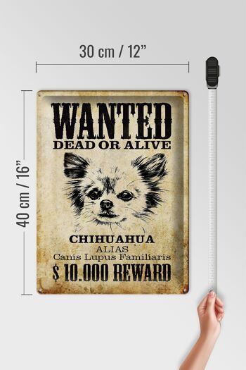 Plaque en tôle chien 30x40cm wanted Chihuahua Alias 4