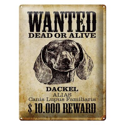 Blechschild Hund 30x40cm wanted dead Dackel Alias