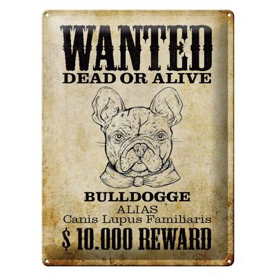 Blechschild Hund 30x40cm wanted dead Bulldogge Alias