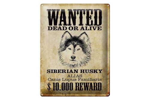 Blechschild Hund 30x40cm wanted Siberian Husky Geschenk