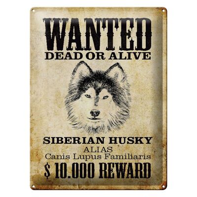 Cartel de chapa perro 30x40cm se busca regalo de Husky Siberiano