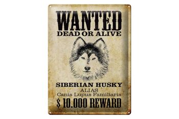 Plaque en étain chien 30x40cm, cadeau Husky sibérien recherché 1