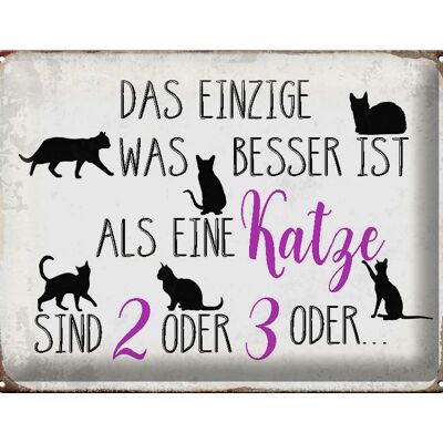 Blechschild Spruch 40x30cm einzige was besser ist als Katze