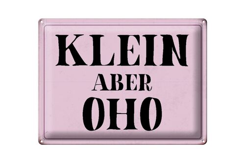 Blechschild Spruch 40x30cm klein aber Oho Geschenk