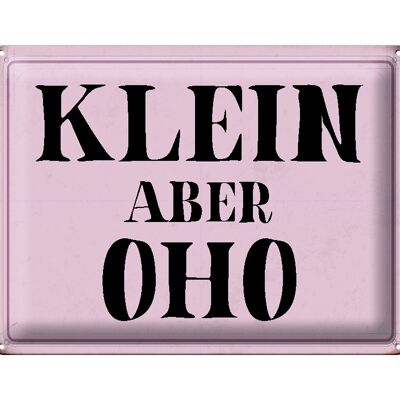 Blechschild Spruch 40x30cm klein aber Oho Geschenk