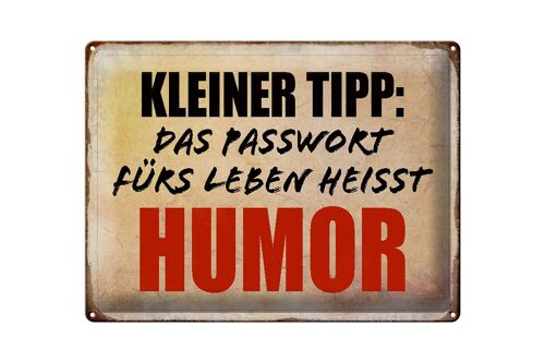 Blechschild Spruch 40x30cm kleiner Tipp das Passwort Humor