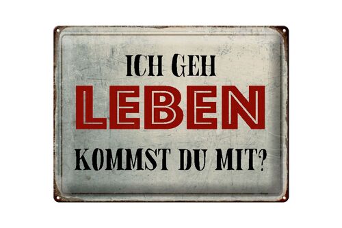 Blechschild Spruch 40x30cm geh leben kommst du mit Retro