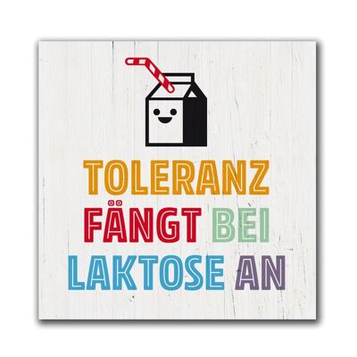 Magnet "Toleranz"

Geschenk- und Designartikel 
