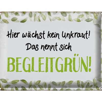 Blechschild Spruch 40x30cm wächst kein Unkraut Begleitgrün